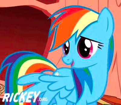 Avenue eQuestria If Rainbow Dash Was Gay