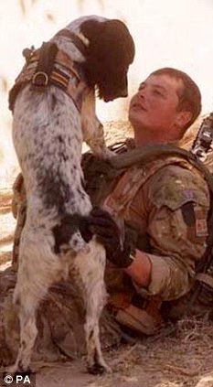 Dog dies of broken heart after his master gets killed in Afghanistan.jpeg Dog dies of broken heart after his master gets killed in Afghanistan