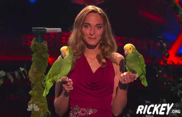Echo of Animal Gardens  America s Got Talent  Top 48