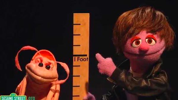 Elmo and Justin Bieber Muppet  Measure Yeah Measure 02 2011 09 20