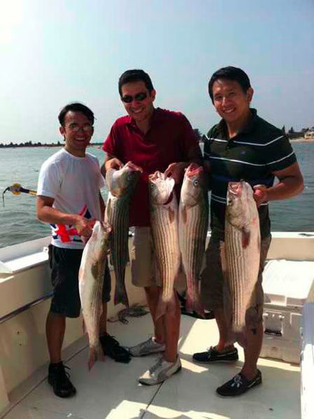 Fish