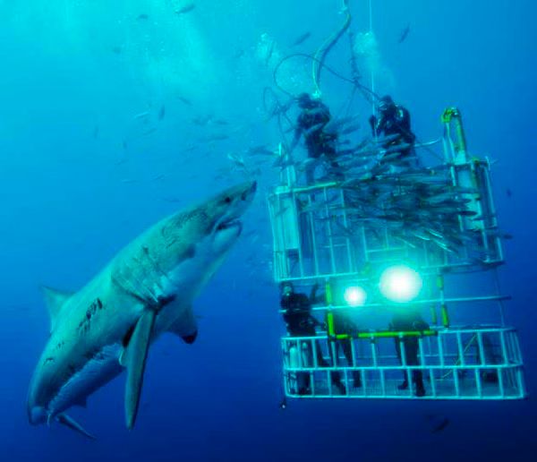 National Geographic Photo Contest 2011 01 2011 11 14
