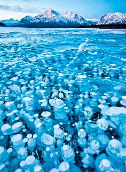 National Geographic Photo Contest 2011 02 2011 11 14
