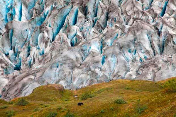 National Geographic Photo Contest 2011 03 2011 11 14
