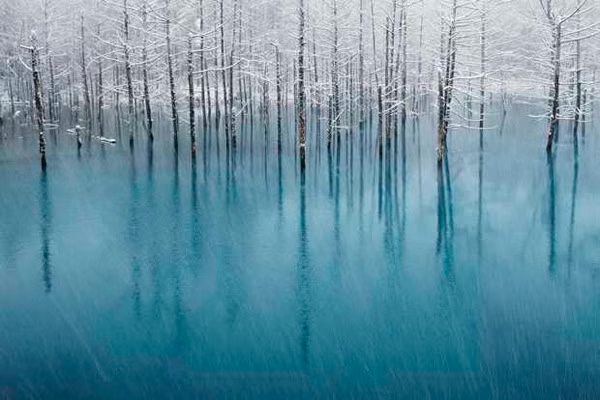 National Geographic Photo Contest 2011  Winners 01 2011 12 21