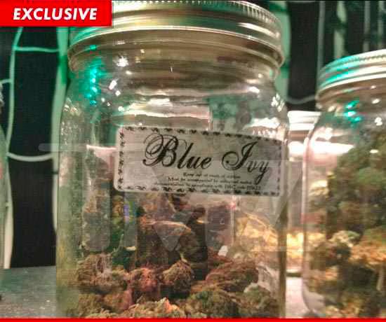 Blue Ivy Carter  Marijuana Strain