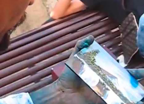 Bob Ross of Finger painting