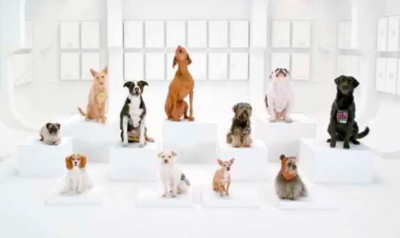 The Bark Side  2012 Volkswagen Game Day Commercial Teaser