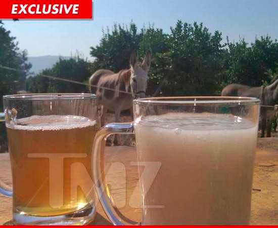 Fear Factor  Donkey Semen and Urine Challenge