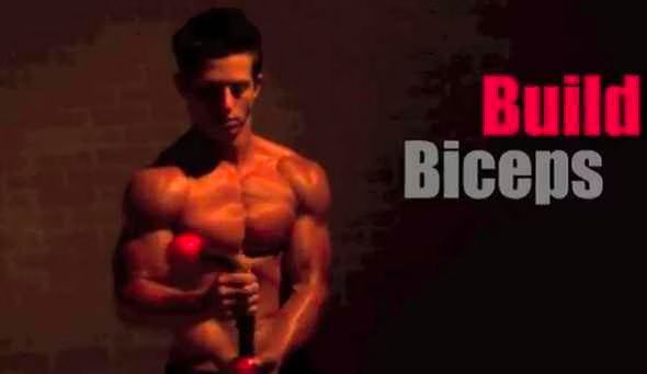 Flaccid Flexor Dub  Jaboody