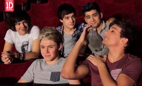 One Direction  Video Diary 4