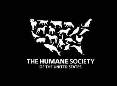 Walmart Pork Supplier Exposed  Video
