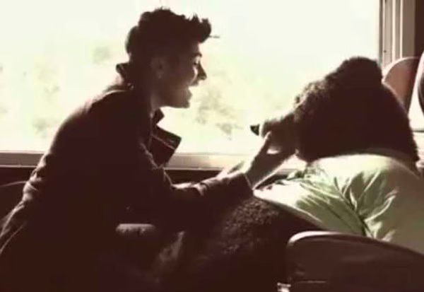 Zayn Malik Bear.jpg Zayn Malik Bear