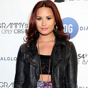 Demi Lovato Rants to Cyberbullies on Twitter