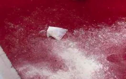 Kim Kardashian Flour Bomb VIdeo.jpg Kim Kardashian Flour Bomb VIdeo