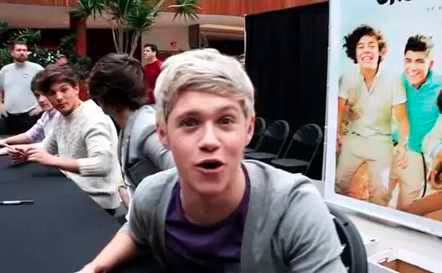 One Direction  1D Mania in the USA