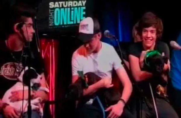 One Direction with Puppies  Video