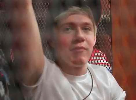 Niall Horan Video Diary.jpg Niall Horan Video Diary