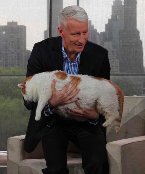 Anderson Cooper Fat Cat