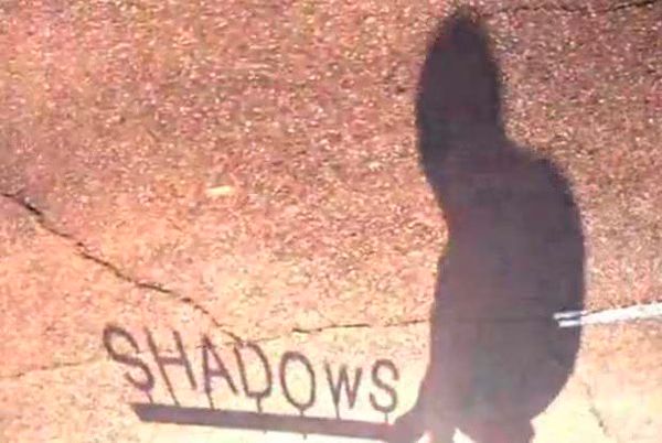 Peter Brings the Shadow to Life  Video