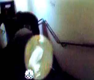 Justin Bieber faints after crashing into glass wall  Video