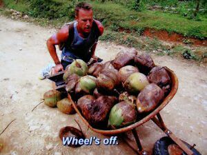 Love and Coconuts