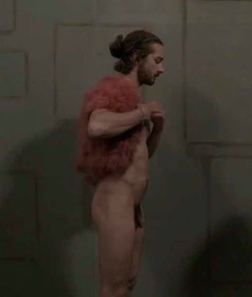 Shia LaBeouf Full Frontal Nude 02-2012-06-18.jpg Shia LaBeouf Full Frontal Nude 02 2012 06 18