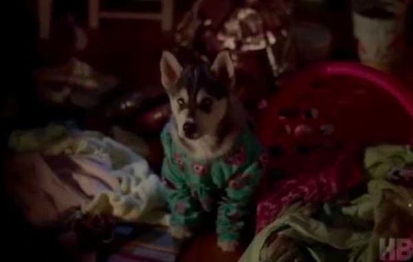 True Blood  Season 5 Episode 2  Video Preview  Authority Always Wins 02 2012 06 10