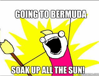 bermuda meme