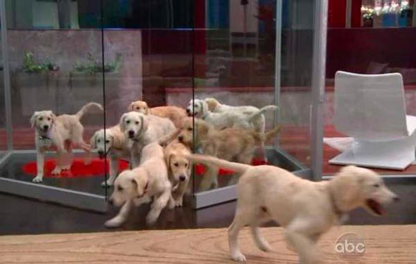 The Glass House - Episode 4 - Full Video 02-2012-07-10.jpg The Glass House Episode 4 Full Video 02 2012 07 10