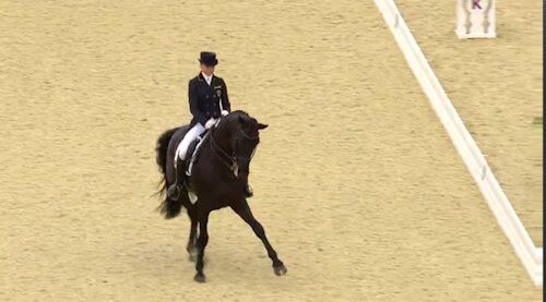 Dressage Team Final - London 2012 Olympics - Results Dressage Team Final - London 2012 Olympics - Results