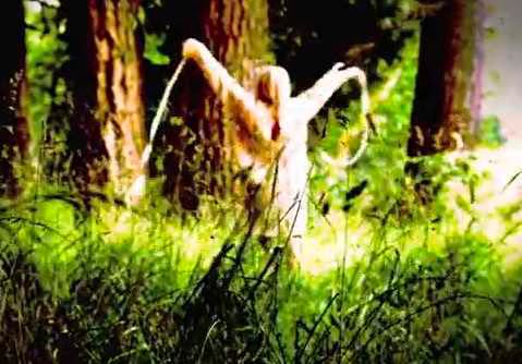 American Horror Story - Asylum - Teaser 17 - Spinning.jpg American Horror Story Asylum Teaser 17 Spinning