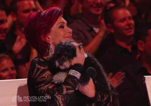 Olate Dogs  America s Got Talent  Finale