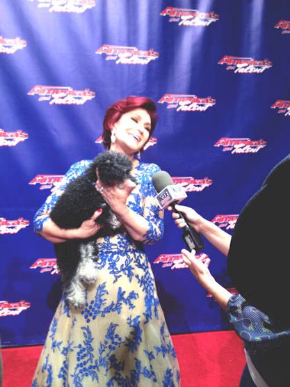 Sharon Osbourne Trashes NBC 'They treat their talent like sh--!'