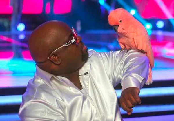 The Voice  Recap Video  Week 4  10 02 2012