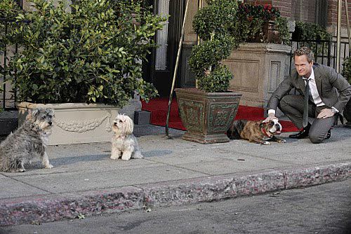 Barney plays wingman for his dog