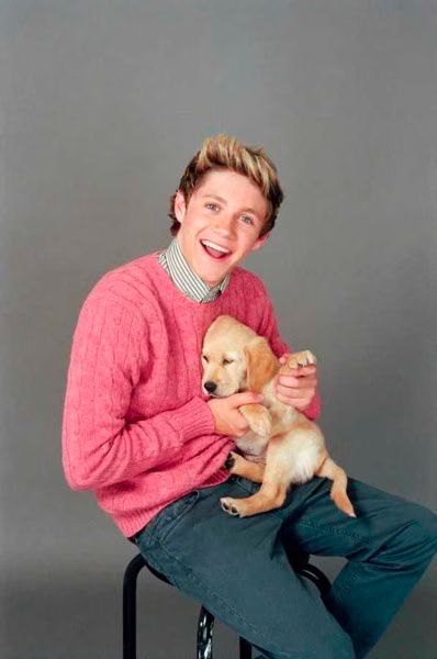 Niall Horan Puppy.jpg Niall Horan Puppy