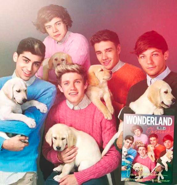 One Direction and Puppies - Wonderland - Video and Photo.jpg One Direction and Puppies Wonderland Video and Photo