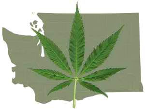 Washington State legalize recreational marijuana use