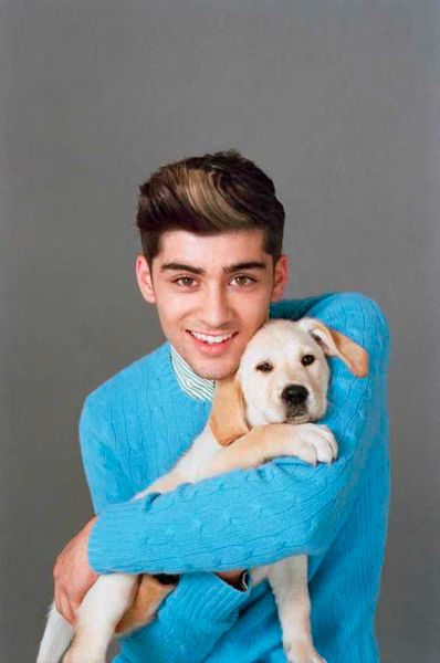 Zayn Malik Puppy.jpg Zayn Malik Puppy