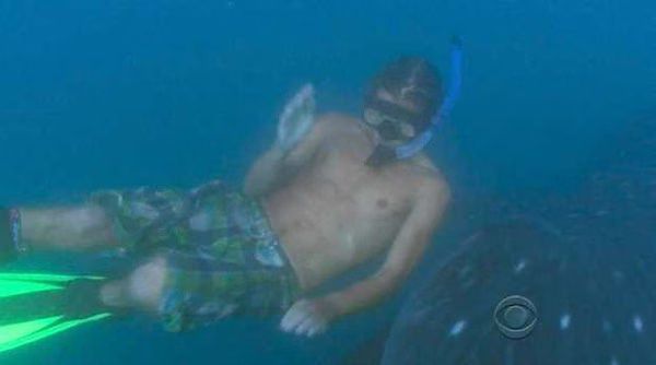 Survivor Ratings