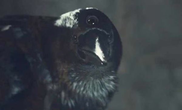 Game of Thrones  Season 3 Teaser  Three Eyed Raven