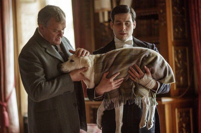 Downton Abbey Isis Dies