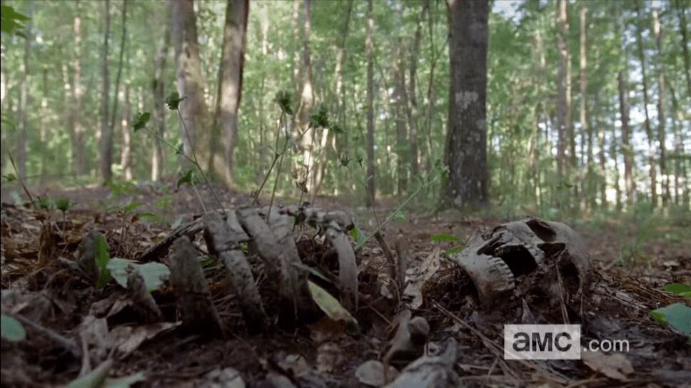 'The Walking Dead' Preview Watch the First Two Minutes of the Midseason Premiere (VIDEO)