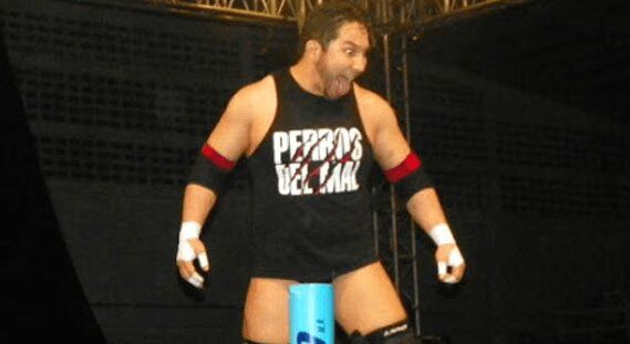 El Hijo Del Perro Aguayo dead at 35, Mexican wrestler dies in the ring (VIDEO)