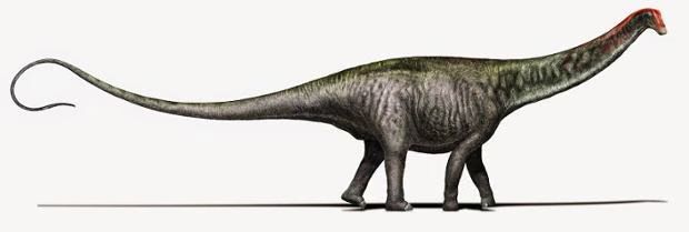 Reconstruction of Brontosaurus - after a century this name has been returned to the pantheon of dinosaurs. Photograph: Davide Bonadonna