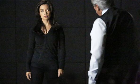 'Marvel's Agents of S.H.I.E.L.D.' Review Skye Faces Her Future and Her Past in 'Afterlife'