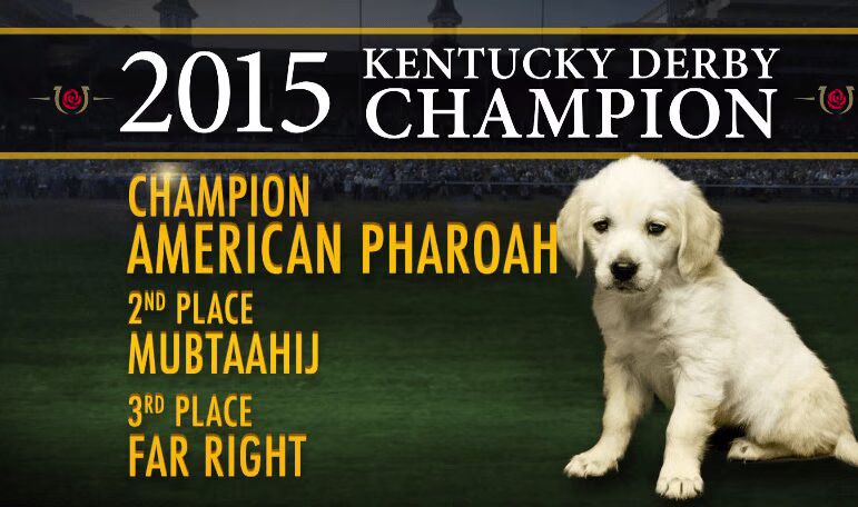 16 Puppies Adorably Predict Winner of 141st Kentucky Derby (VIDEO) 1