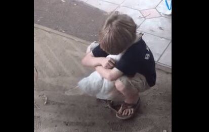 Boy Hugs His Chicken and She's Adorable (VIDEO)