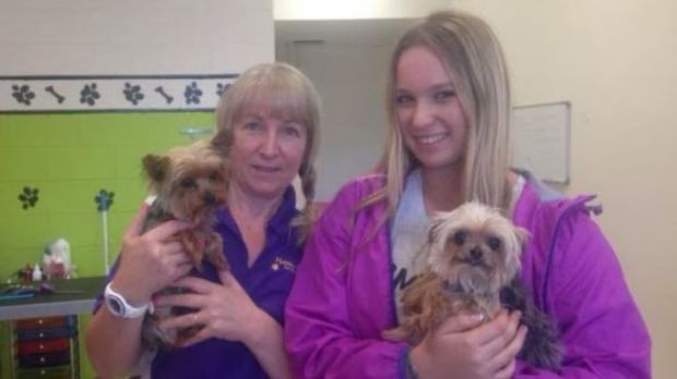 Johnny Depp's dogs Pistol and Boo, with dog groomers Lianne and Ellie Kent. Photo: Happy Dogz